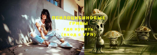 индика Кодинск