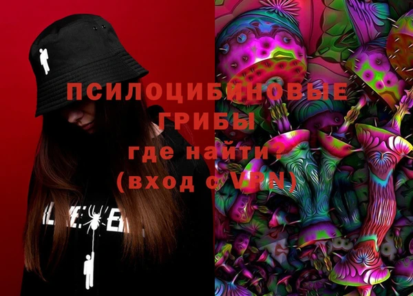 индика Кодинск