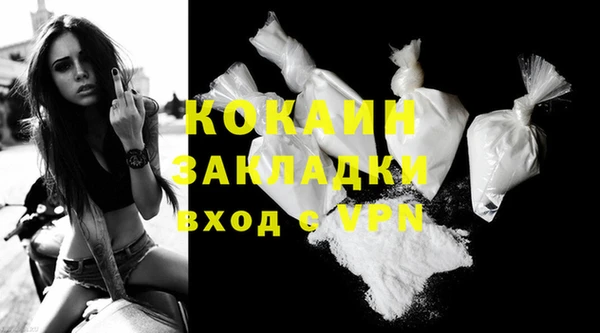 индика Козельск