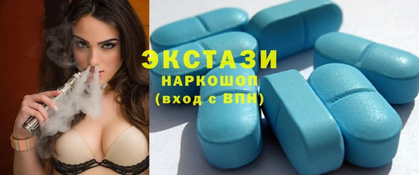 индика Козельск