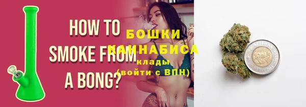 индика Козельск