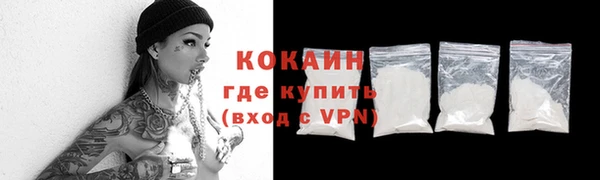 индика Козельск