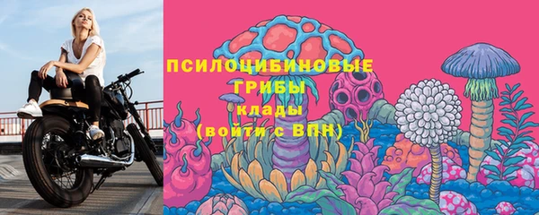 синтетический гашиш Козловка
