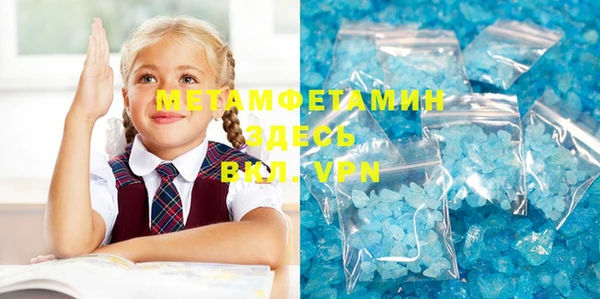 индика Козельск