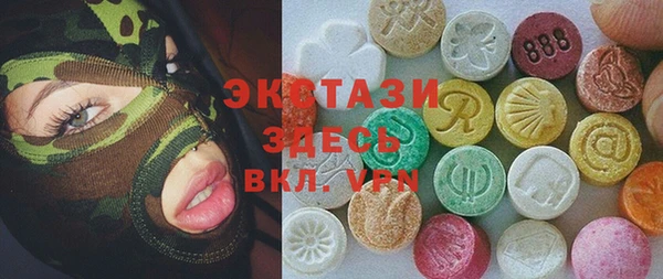 индика Козельск