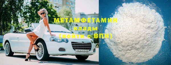 индика Козельск