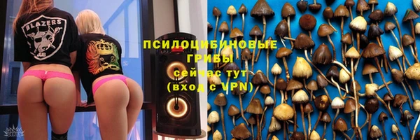 индика Козельск