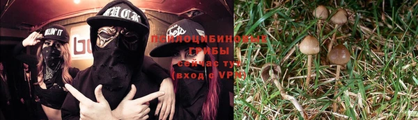индика Козельск