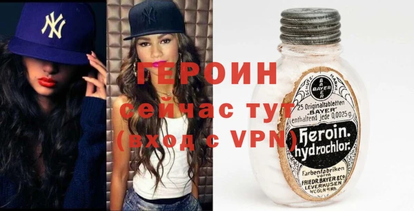 индика Козельск