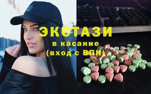 индика Козельск