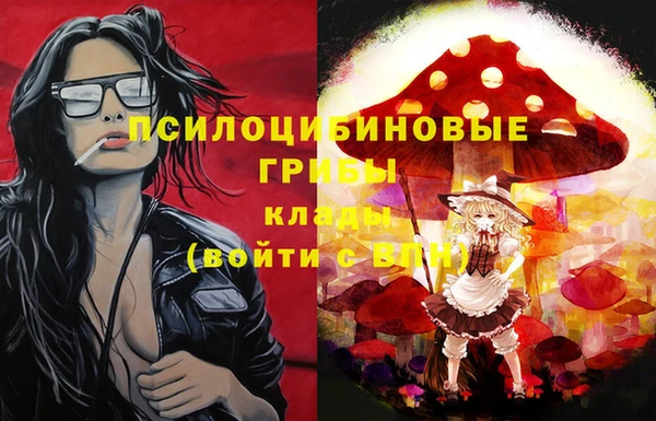 индика Кодинск